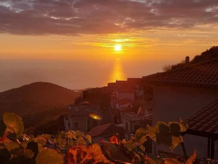 Carmineholidayhouse Pollica Dış mekan fotoğraf