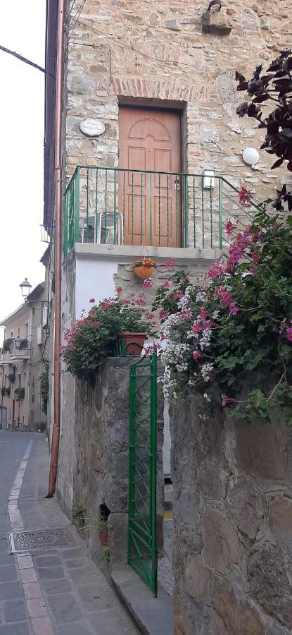 Carmineholidayhouse Pollica Dış mekan fotoğraf